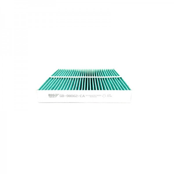 BIG FILTER GB-98062-CA