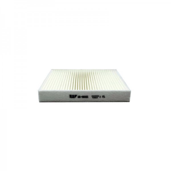 BIG FILTER GB-98065