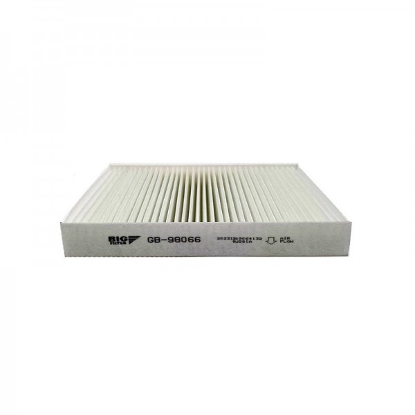 BIG FILTER GB-98066