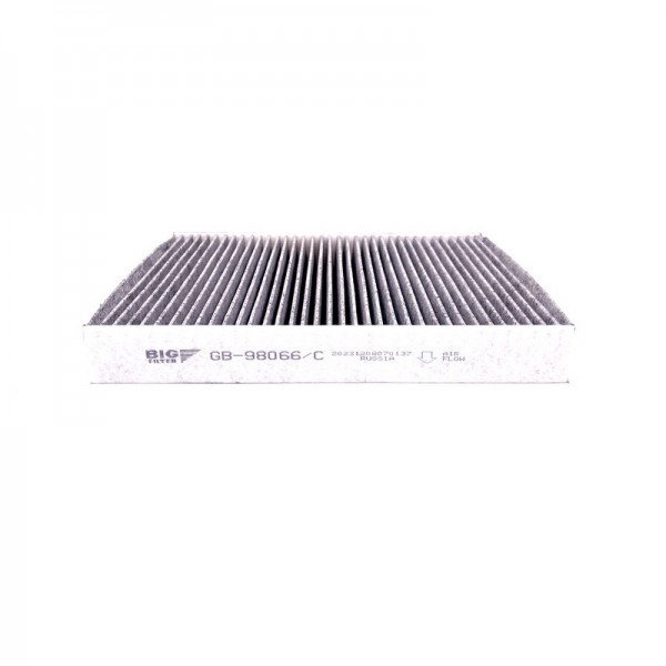 BIG FILTER GB-98066-C