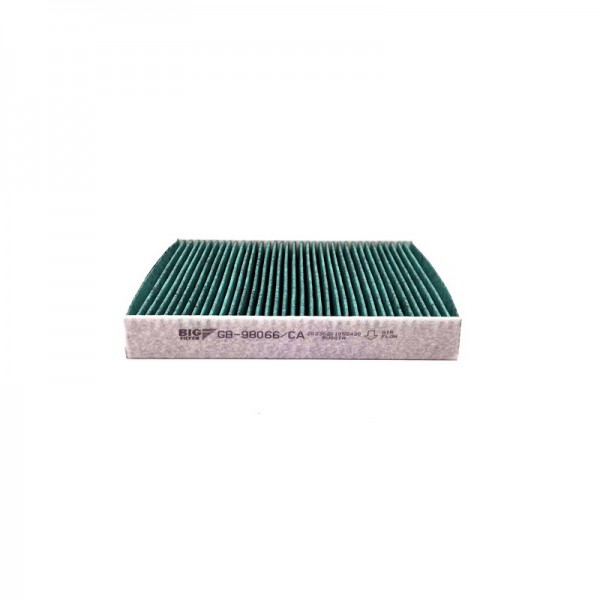 BIG FILTER GB-98066-CA