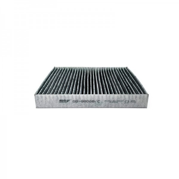 BIG FILTER GB-98068-C