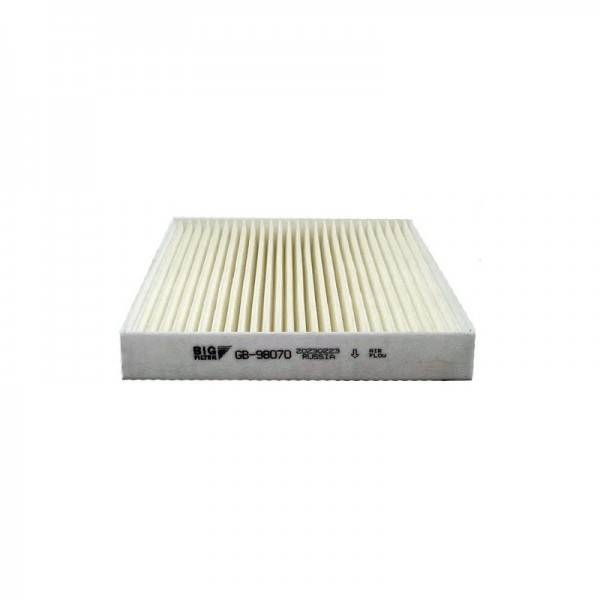 BIG FILTER GB-98070