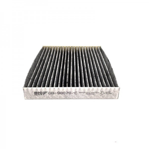 BIG FILTER GB-98070-C