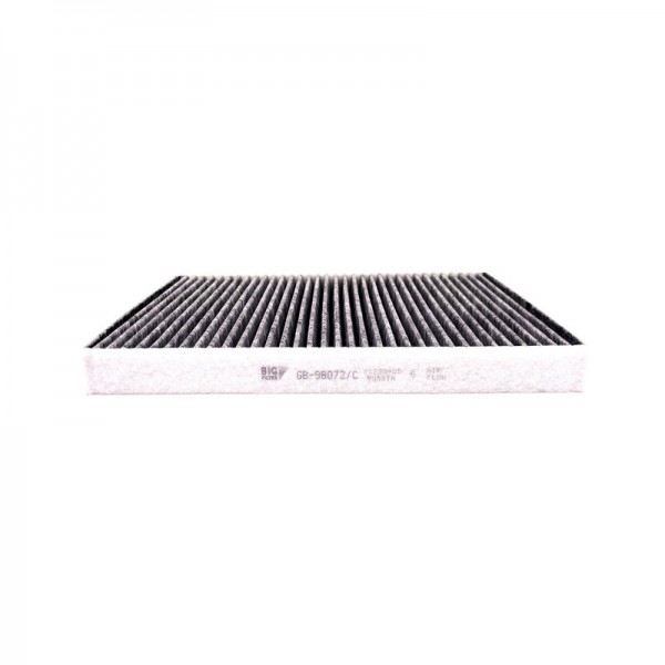 BIG FILTER GB-98072-C