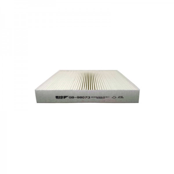 BIG FILTER GB-98073