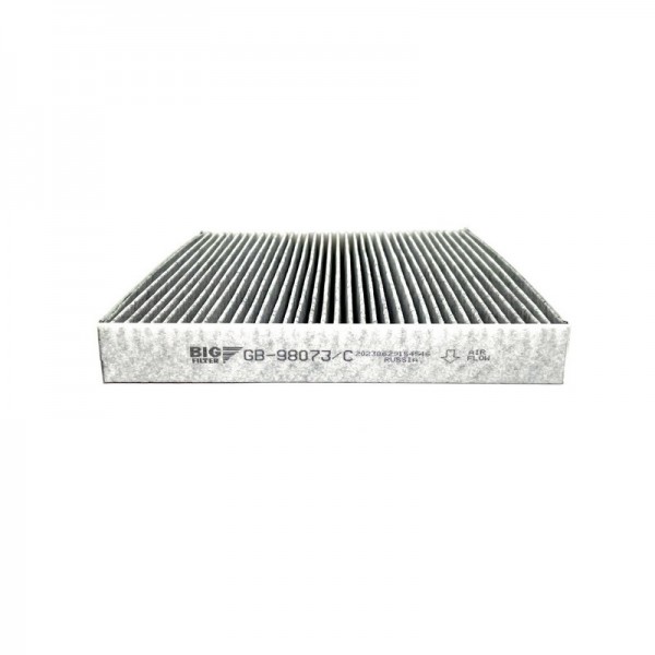 BIG FILTER GB-98073-C