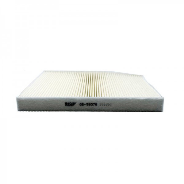 BIG FILTER GB-98076