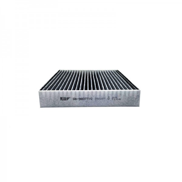 BIG FILTER GB-98077-C