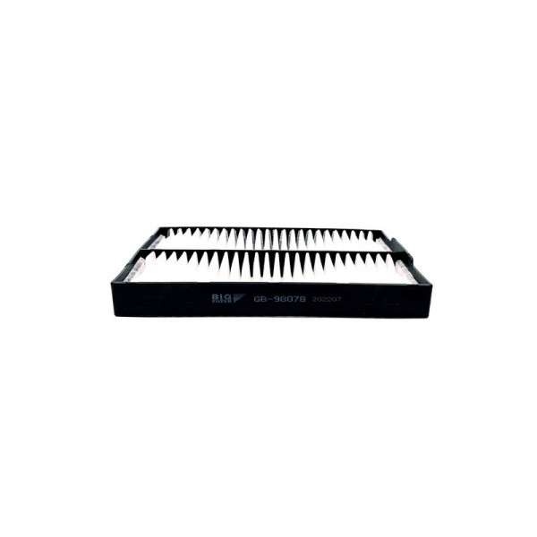 BIG FILTER GB-98078