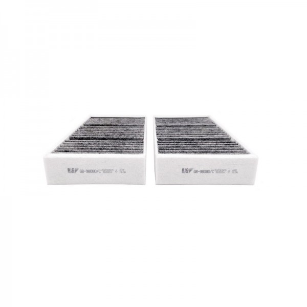 BIG FILTER GB-98080-C