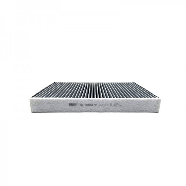 BIG FILTER GB-98081-C