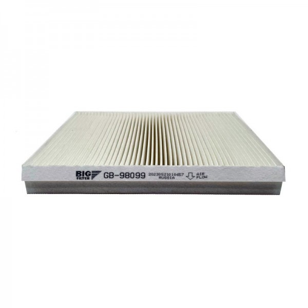 BIG FILTER GB-98099