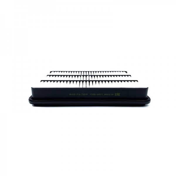BIG FILTER GB-981