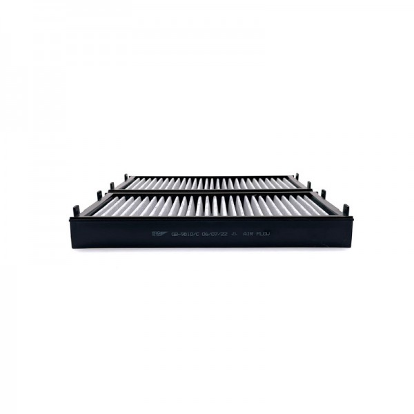 BIG FILTER GB-9810-C