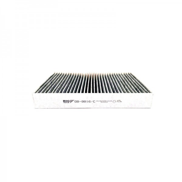 BIG FILTER GB-9816-C