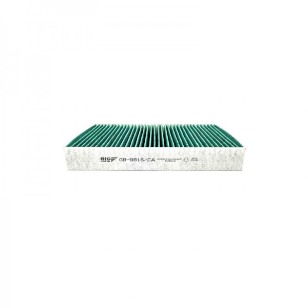 BIG FILTER GB-9816-CA