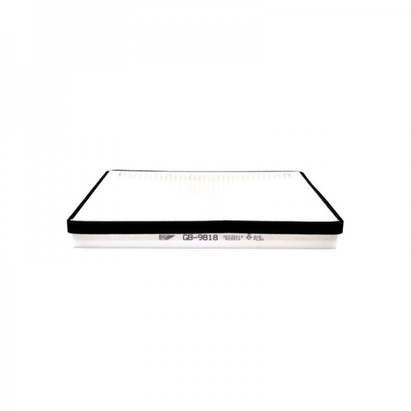 BIG FILTER GB-9818