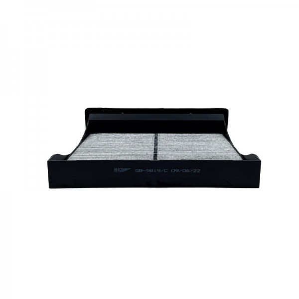 BIG FILTER GB-9819-C