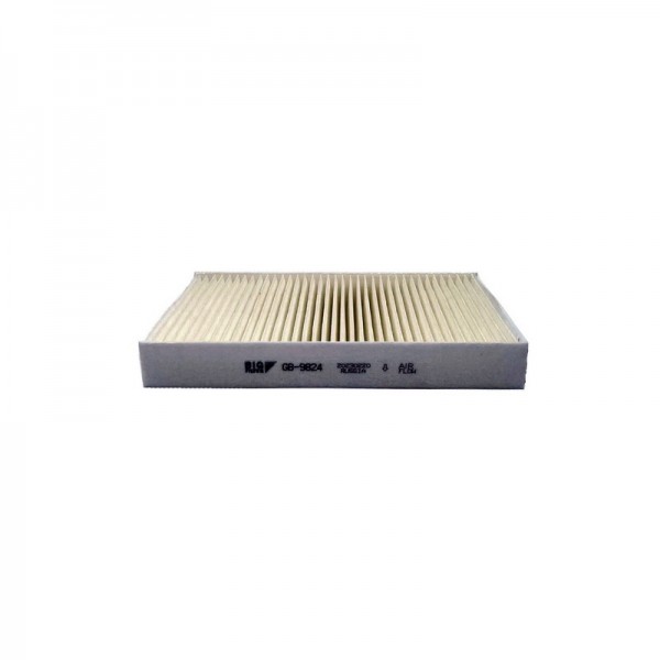BIG FILTER GB-9824