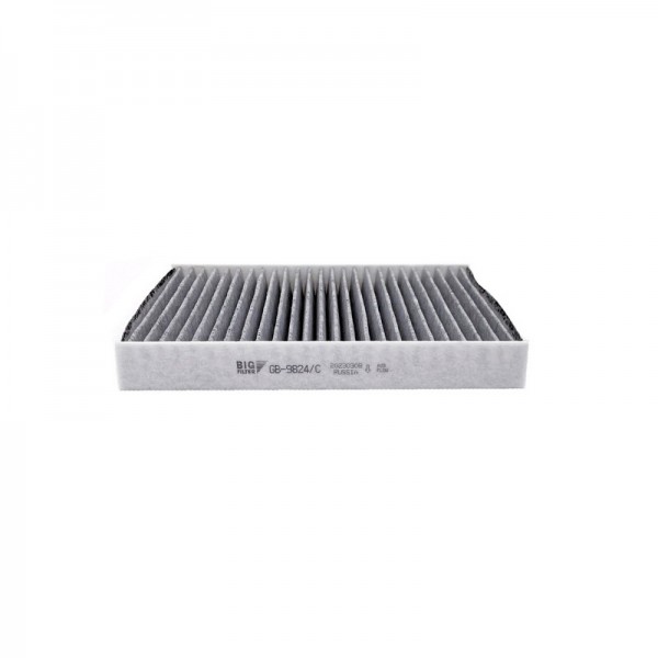 BIG FILTER GB-9824-C