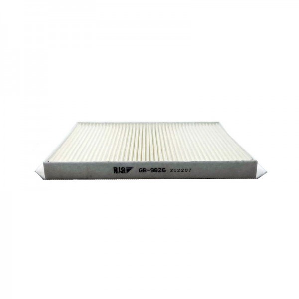 BIG FILTER GB-9826