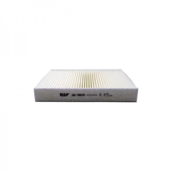 BIG FILTER GB-9829
