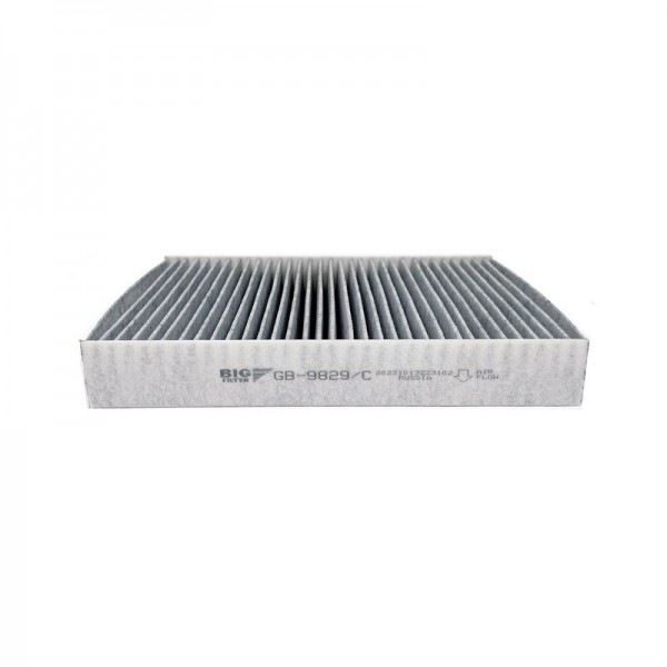 BIG FILTER GB-9829-C