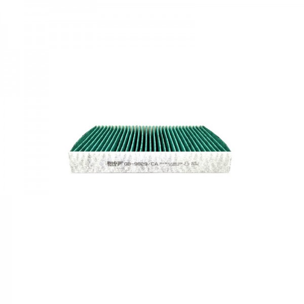 BIG FILTER GB-9829-CA