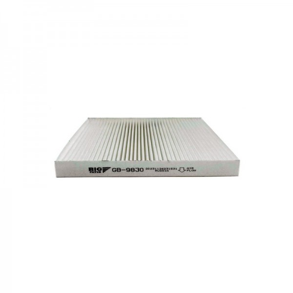 BIG FILTER GB-9830