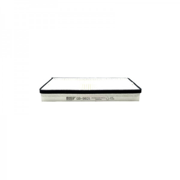 BIG FILTER GB-9831