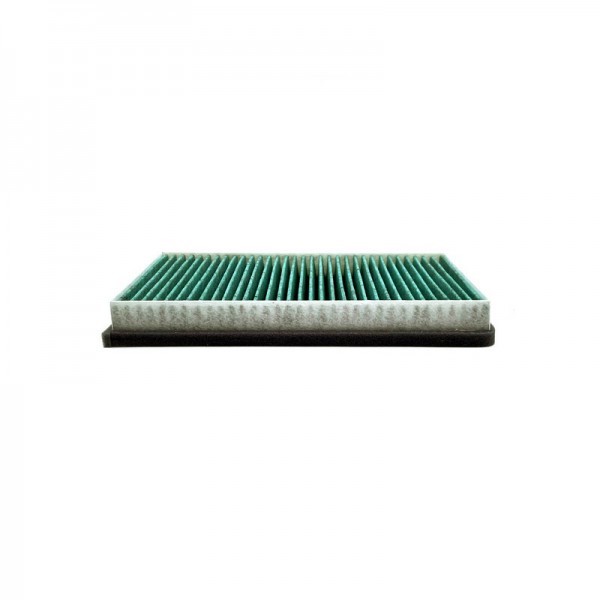 BIG FILTER GB-9831-CA