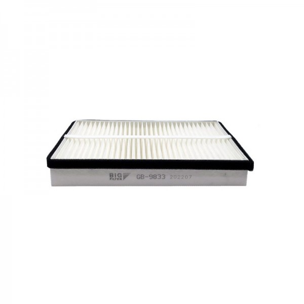 BIG FILTER GB-9833