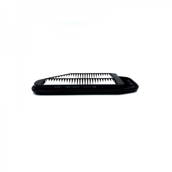 BIG FILTER GB-984