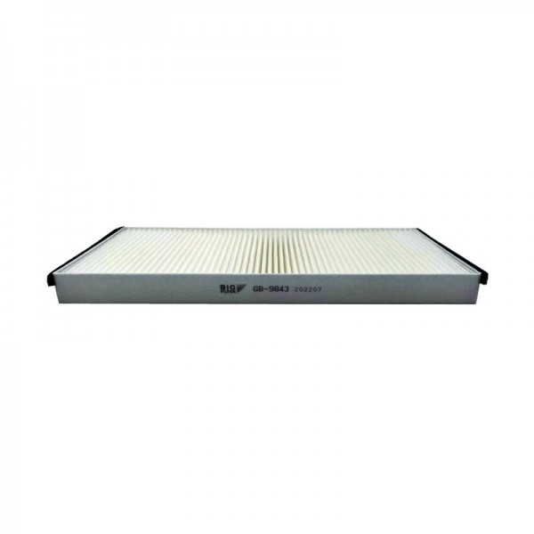 BIG FILTER GB-9843