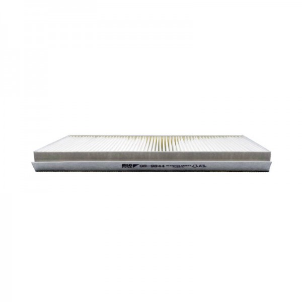 BIG FILTER GB-9844