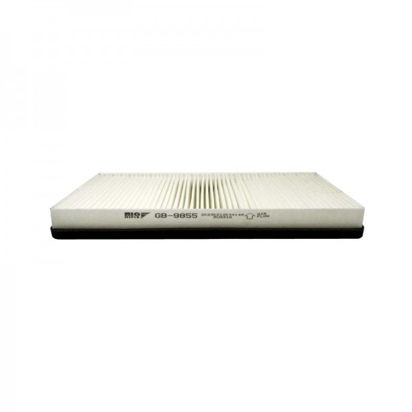 BIG FILTER GB-9855