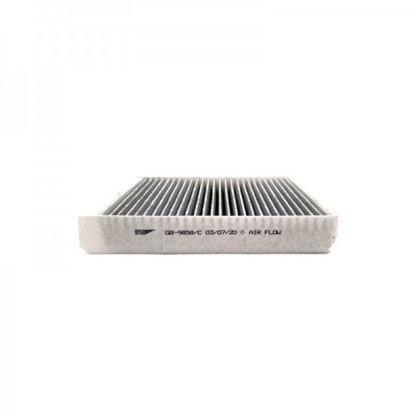 BIG FILTER GB-9858-C