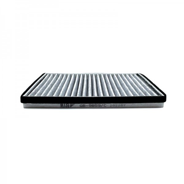 BIG FILTER GB-9859-C