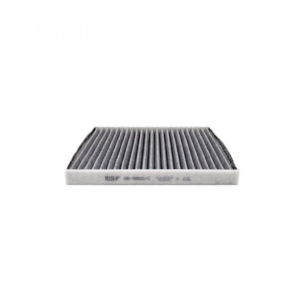 BIG FILTER GB-9860-C