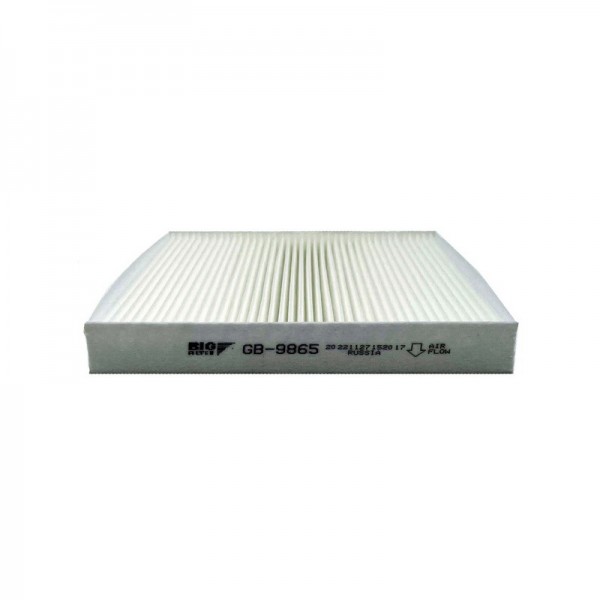 BIG FILTER GB-9865