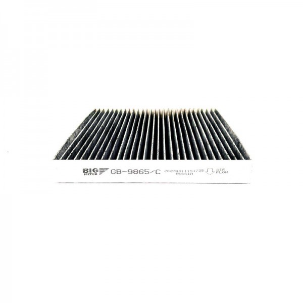 BIG FILTER GB-9865-C
