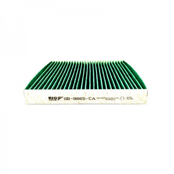 BIG FILTER GB-9865-CA