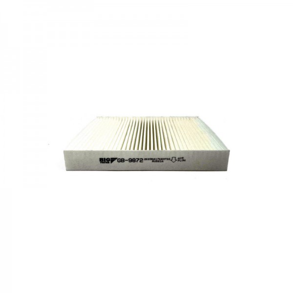 BIG FILTER GB-9872