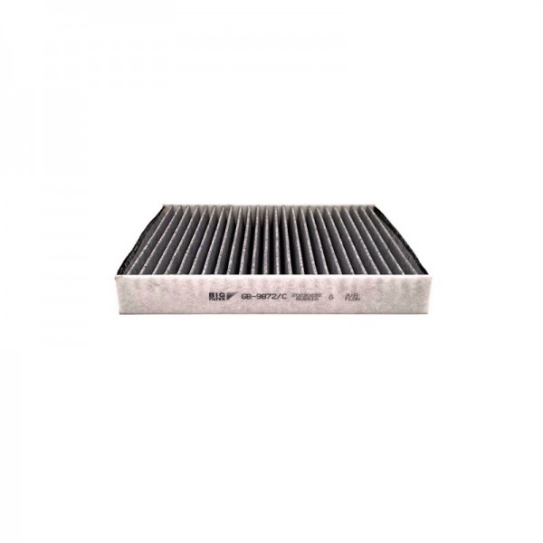 BIG FILTER GB-9872-C