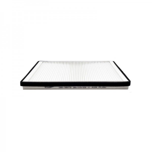 BIG FILTER GB-9873