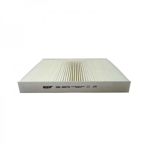 BIG FILTER GB-9875