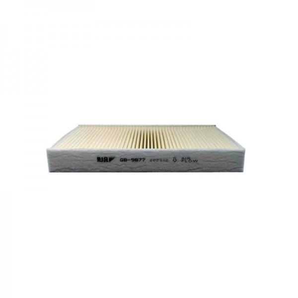 BIG FILTER GB-9877