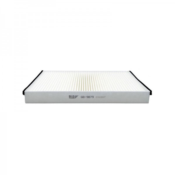BIG FILTER GB-9879