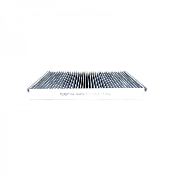 BIG FILTER GB-9879-C